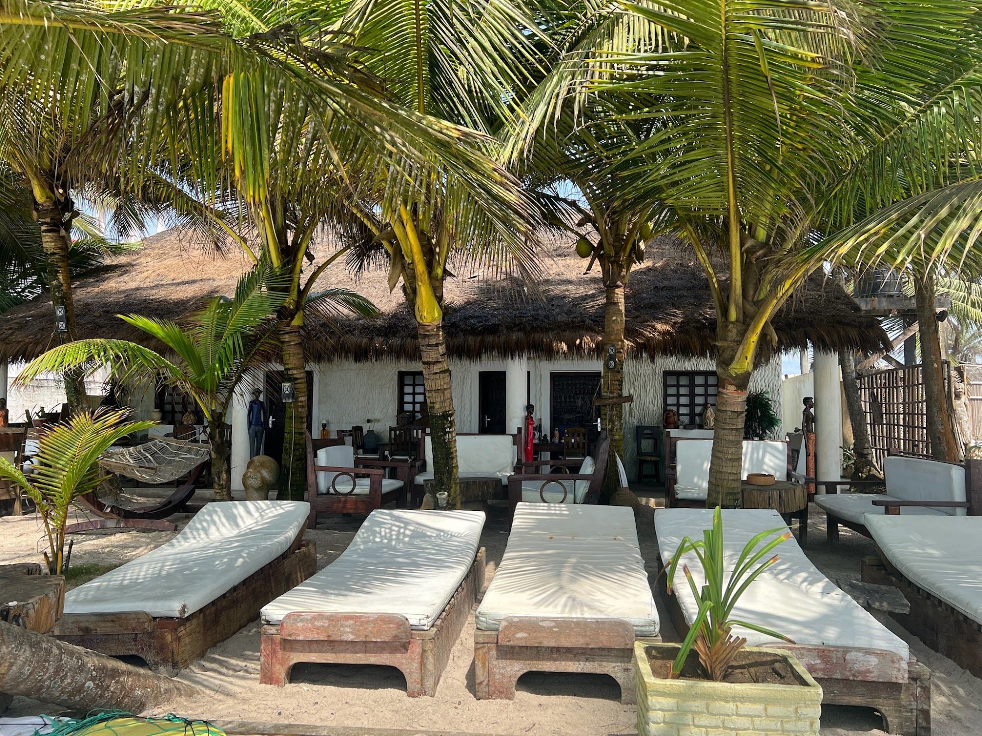 Transats devant les bungalows au toit de chaume